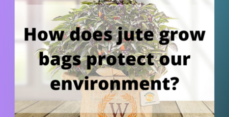 how-does-jute-grow-bags-protect-our-environment