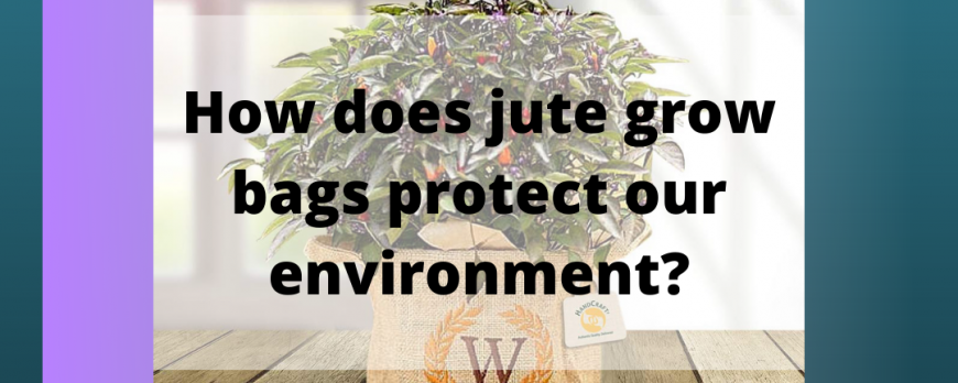 how-does-jute-grow-bags-protect-our-environment