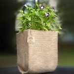 jute-planter-008
