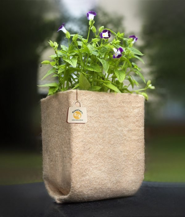 Grow Bags vs. Plastic Pots - Benefits of Garden Bags | Farm Plastic Supply