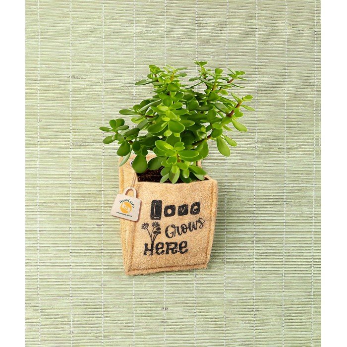 Buy Wholesale China Wall Hanging Planting Bags Flower Pot Grow Bag