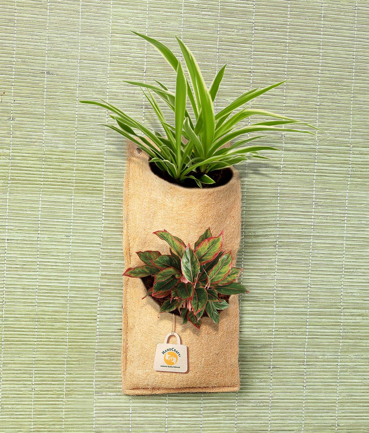 Jute grow bag planter in use over a growing season